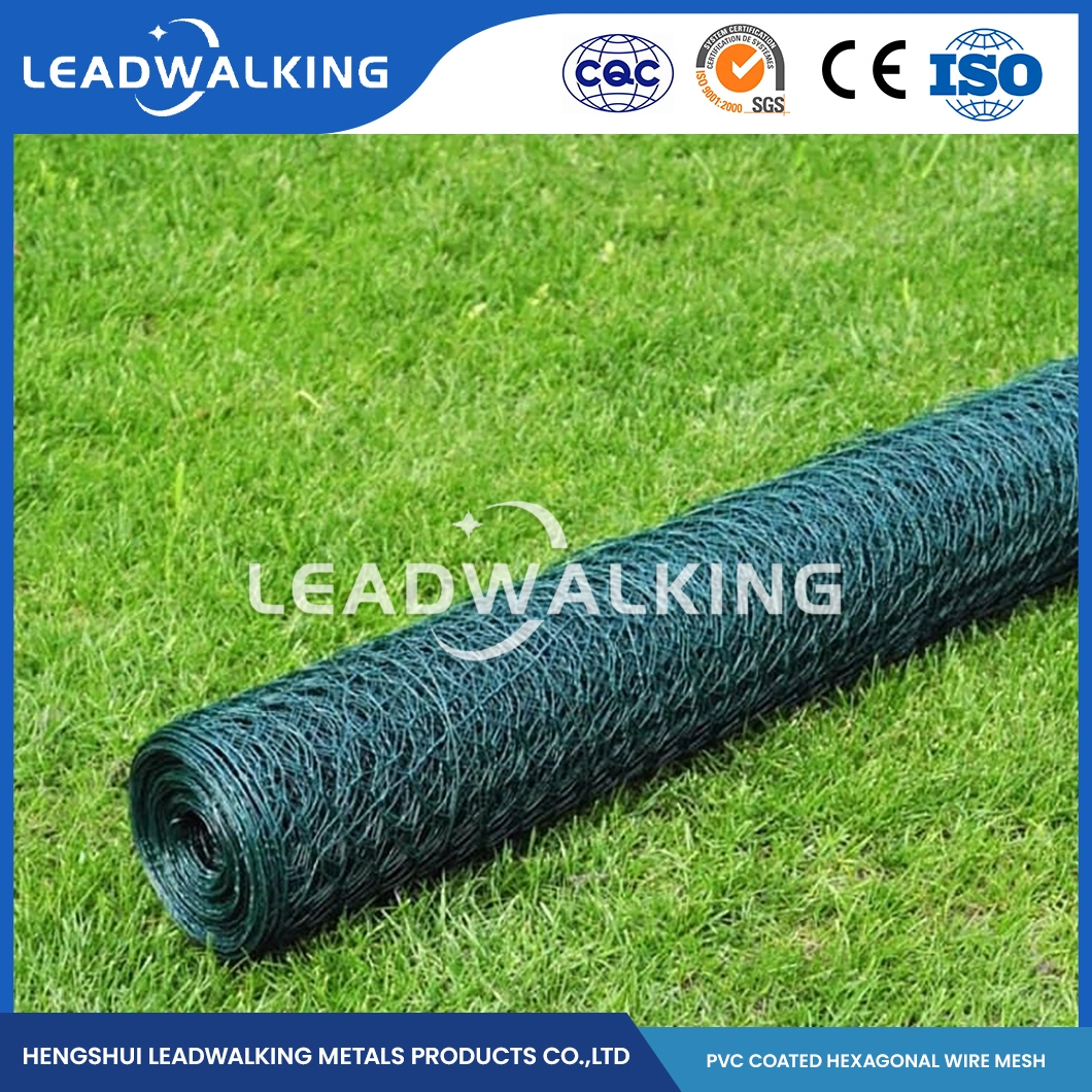 Leadwalking PVC Wire Material PVC Coated Hexagonal Chicken Wire Suppliers China 100mm Mesh 1-Inch Galvanized Hexagonal Wire Mesh